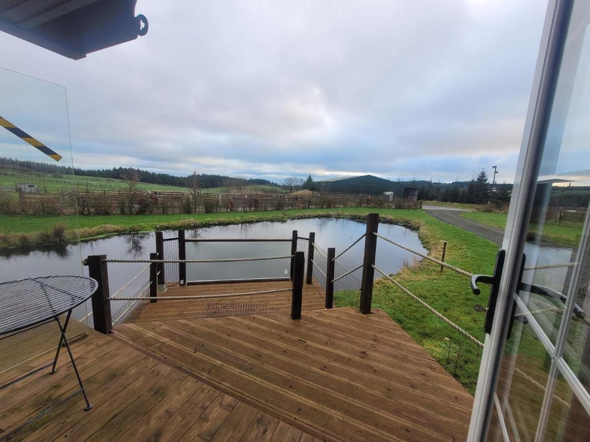 The Cabin At Forestview Farm Greenisland Exteriör bild